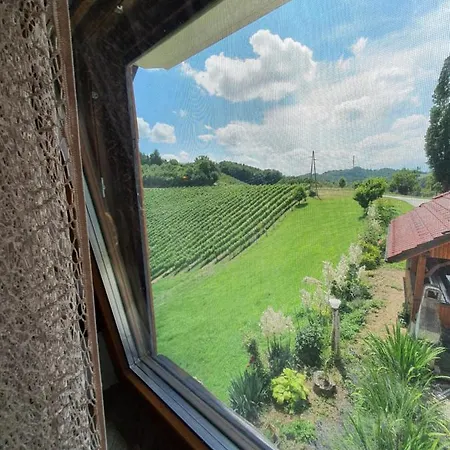 Turisticno - Izletniska Kmetija Zerjav Gospodarstwo agroturystyczne *